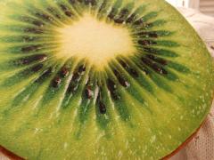 まるで本物？韓国で人気のリアルなフルーツクッションが可愛すぎるッ！