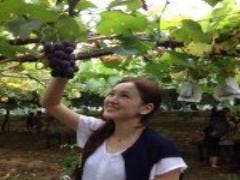 入れて振るだけ！時間のない朝でも飲める"粉末スムージー"で綺麗を目指そ♪