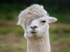 秋の夜長にぴったり♡［印象別］夜空を映し出したネイルデザイン集＊