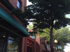 オシャレタウン吉祥寺の丸井、リニューアル店舗をチェックせよ♡