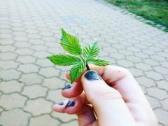 実りの秋、旬の果物を思いっきり味わうなら♡都内で食べれるフルーツパーラー3選