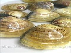 肝機能も改善！美肌にも効果ありのしじみを使ったレシピ20選