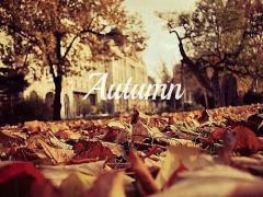 季節感も、透明感も、ヌケ感も。ぜ～んぶ叶える秋色ヘアカラーカタログ