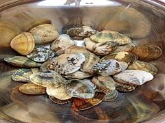 栄養たっぷり、旨味たっぷり！あさりを使ったレシピ20選