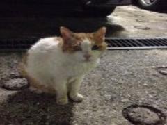 物語に触れる。「活字苦手さん」も、この秋読書してみませんか？