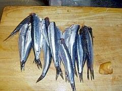 健康と家計の強い味方！いわしを使ったレシピ集