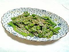 夏の旬野菜さやいんげん！美味しいと言ってもらえるレシピまとめ