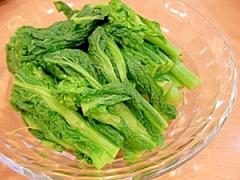 春を味わおう♪美容成分たっぷりの美味しい菜の花レシピ20選