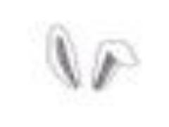 《2015秋服》ファーやハート、自分らしさにこだわるブランドone spoが届けるnew女の子スタイル