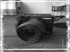 季節を目で感じませんか？少女の心を取り戻させてくれる見頃のお花カレンダー♩