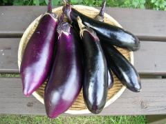 今が旬です。“ナス”のおいしいレシピを見つけたよ＊