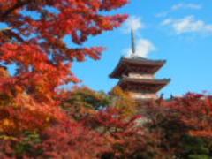 心震える紅葉を見たいなら。「そうだ京都、行こう。」のポスターのあの場所へ