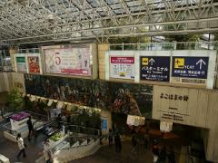 「横浜駅東口＝裏横」は常識！CP抜群♡魚が美味しい裏横の人気店3選