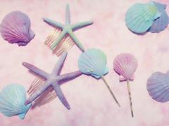 見たら絶対忘れない可愛さ。人魚姫が使ってそうなシェルアイテム激選♡