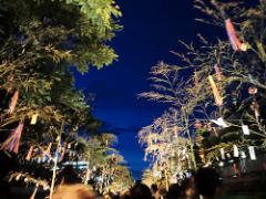 【8/1〜】きらきら光るLEDの天の川「京の七夕」で星に願いを。