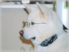 【今だからこそ行きたい】おすすめ♡秋田県観光マップ！