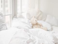 大人になったらインテリアに。"テディベア"のいるおしゃれな部屋