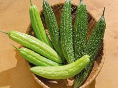 ”ゴーヤ嫌い”に朗報です。苦みを感じずに食べられるレシピカタログ♡