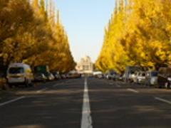 2015秋♡行きたい都内の＼オススメ紅葉SPOT／と＼オススメCordinate／