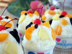 お家で簡単に作ってみよう＊アレンジ自由の私だけの「白クマアイス」