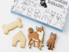 柴犬のクッキーが毎月届く？ときめくユニークなお届け物をあなたの家に。