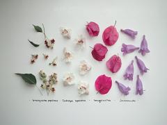 花を彩る部屋づくり＊100均 “NATURAL KITCHEN”が叶えるぬくもり空間