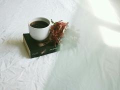 捨てるのは絶対損のコーヒーカス。ゴミ箱行きを救う活用術6選