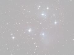 （金箔・蜂の巣）あなたはどっち派？話題のきらきらソフトクリーム