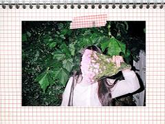 2016年の準備を着々と。D-BROSのハイセンスなカレンダーをチェック