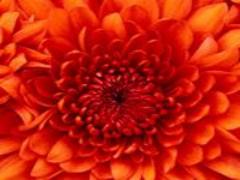 ワンコインで脱いちご鼻！新プチプラ洗顔石鹸〝Dot Washy〟を激押し♡