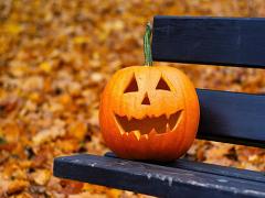 カボチャスイーツに目がない女子へ。見た目も味も大満足♡ハロウィン限定フレーバー