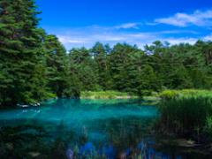 同じ色はもう二度と見れない。福島県の五色沼で幻を体験しよう