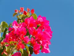 実は秋がベストシーズン！沖縄で心もカラダも癒やされる女子旅を♡