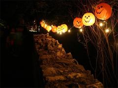 カワイイに貪欲な女子達へ。誰よりもお洒落な"ハロウィンネイル"カタログ