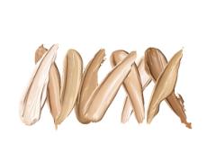 《厳選検証4ブランド》ひと月換算1000円！リキッドファンデはハイブランドで絶世の美肌に。