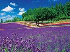 大自然の中のたまらないほどの開放感。世界No.1の北海道温泉"豊平峡"