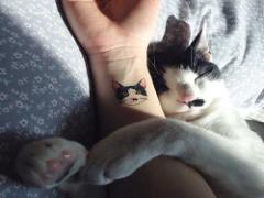 ”秘密”でなりきり。フェリシモ「猫ブラ」で自由気ままで小悪魔な私を見つけて♡