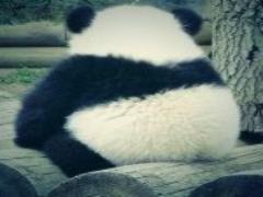 おいもちゃんの季節がやってくる♭お菓子もおかずもさつまいもレシピ