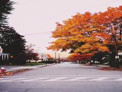 2015年秋、シネマな気分に浸れるイベント3選