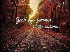 忙しいあなたも大丈夫♡都心東京で見れる紅葉3選！