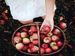 お家でほっと一息teatime♡ さくさくの優しい甘さ”アップルクランブル”