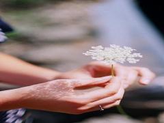 「コットンvs手のひら」化粧水をつけるとき、肌に良いのはどっち検証