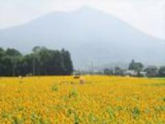 思わずInstagramに載せたくなる♡フォトジェニックなスポット5選