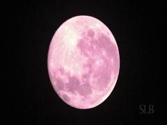 スーパームーンの夜に行きたい。テラス席がすてきな屋上カフェ♭