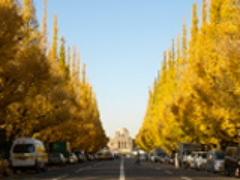 〈関東〉自然が生み出す最高の景色にうっとり♡2015年紅葉スポットガイド