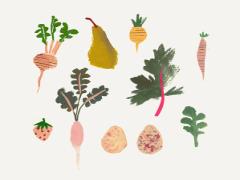 ズボラ女子でも大丈夫♡美しくなれる"自家製ぬか漬けライフ"のすすめ