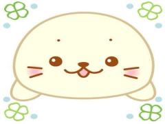 素朴な可愛さに癒やされる♡あざらしの"しろたん"グッズが欲しい！