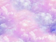 ひっそりと隠れた本格スイーツカフェの王国、西荻窪♡