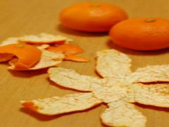 みかんの皮アートでコタツにみかんの時間をアートに過ごしましょう♩