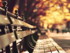 東京で楽しむ日帰り大江戸温泉。カップルに嬉しい貸切露天風呂だってある！